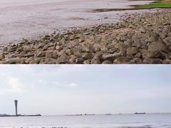 -上海吴淞炮台湾国家湿地公园