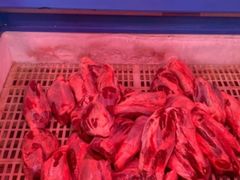 -沈阳市二台子清真牛羊屠宰厂