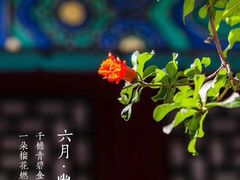 -荣轩(新荣记环球金融中心店)