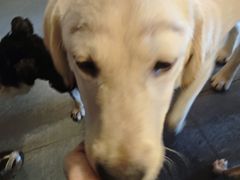 -悠乐汇