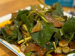 折耳根拌胡豆-土桥老街黄鸭子(清淳家园店)