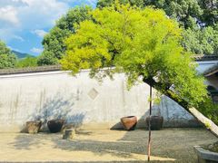 -四明湖