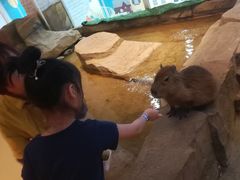 -Mr·Kuma酷么先生雪之乐园