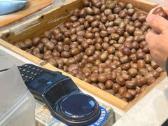 -阿男野栗王(金门路店)