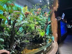 -太平洋海底世界