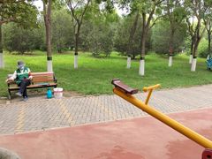 -大兴滨河森林公园