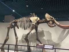 -大连自然博物馆·地球展厅