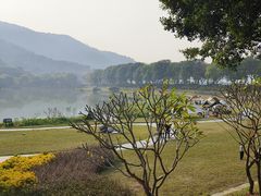 -风云岭森林公园