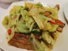 炝炒圆白菜-106餐厅(山水文园店)