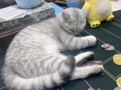 -无趣桌游狼人杀店