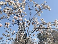 -沙河三洞古桥公园