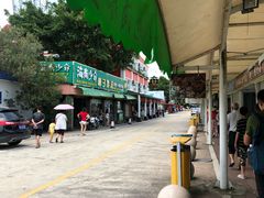 -大湾区中央湿地公园-十九涌