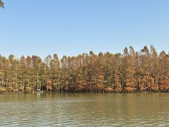 -上海海湾国家森林公园