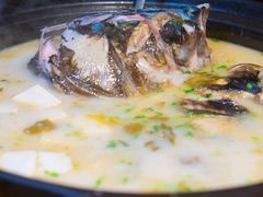 -新悦·霞浦海鲜生(上下杭店)