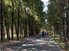 景点-赛汗塔拉风情园