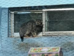 -青藏高原野生动物园
