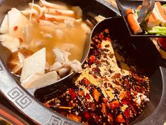 -销魂美蛙鱼头火锅(上海首店)