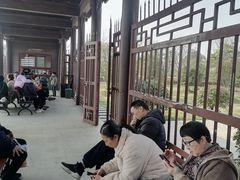 -南湖湿地公园