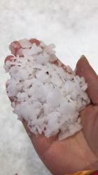 -Mr·Kuma酷么先生雪之乐园