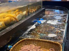 -龙宴海鲜城(经中路店)