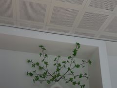 -极简口腔(总院)
