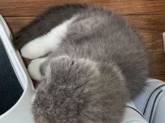 -美联众合动物医院·24h转诊中心