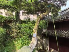 -宁波市保国寺古建筑博物馆