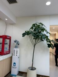 点击看大图 -上海伊莱美医疗美容医院