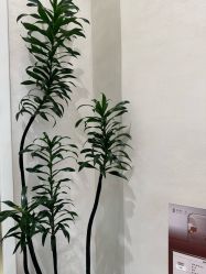 -和颜一美轻医美连锁