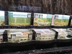 -德天肥牛海鲜火锅(城西银泰店)
