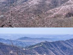 -香山公园