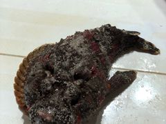 -海盗餐厅