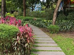-晓港公园
