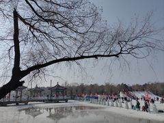 -长春市南湖公园