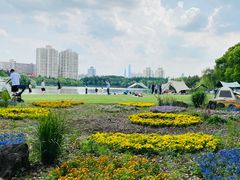 -黄兴公园