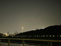 -月湖风景区