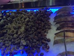 海鲜-探烧自助烤肉火锅(牛栏前店)