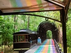 -合肥滨湖国家森林公园