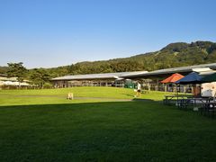 -轻井泽王子购物广场