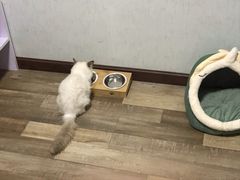 -联合动物医院(光谷诊疗中心)