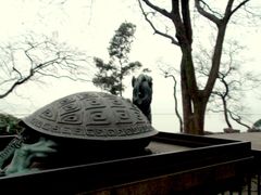 -香雪海