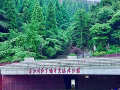 -娄山关景区
