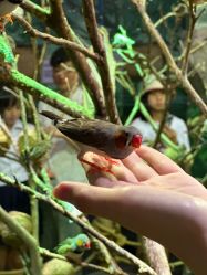 -Zoolung Zoolung动物主题公园(海信广场店)