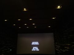 -武商摩尔影城(国广IMAX激光店)
