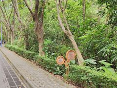 -滴水岩森林公园