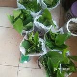 预防甲醛中毒的方法