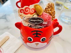 虎虎生威外带冰淇淋杯-哈根达斯(滨江店)