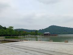 -顺峰山公园