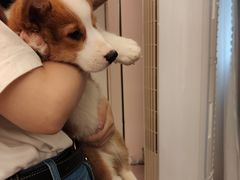 -浣熊柯尔鸭土拨鼠·电玩咖