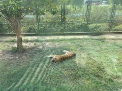 -上海野生动物园